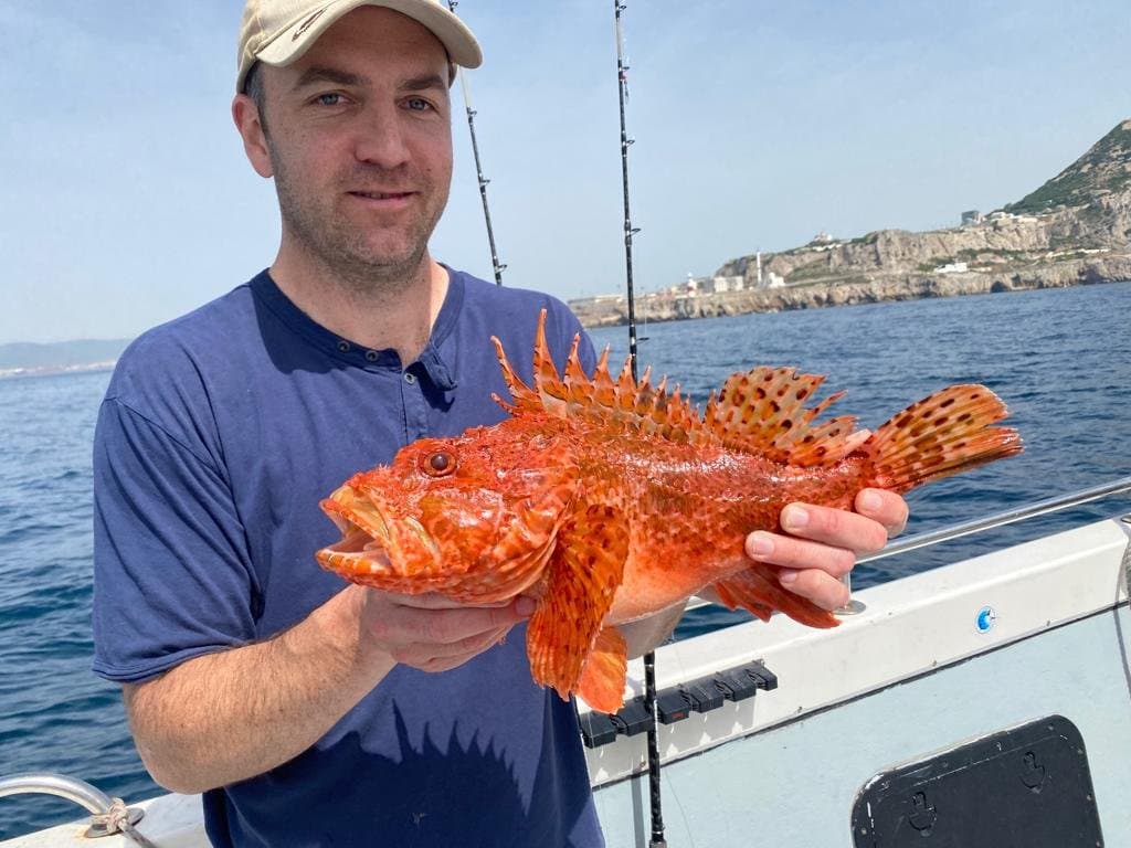 Guest photograph from the Hook & Cook, Gibraltar