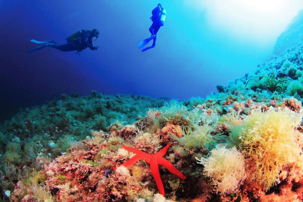 Guest photograph from the Scuba Dive Charter, Gibraltar