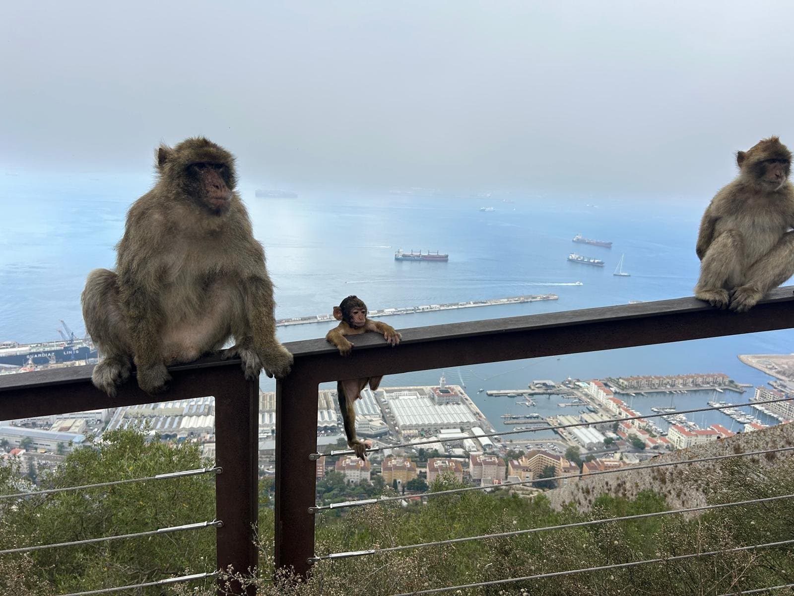 Guest photograph from the Extended Tour, Gibraltar
