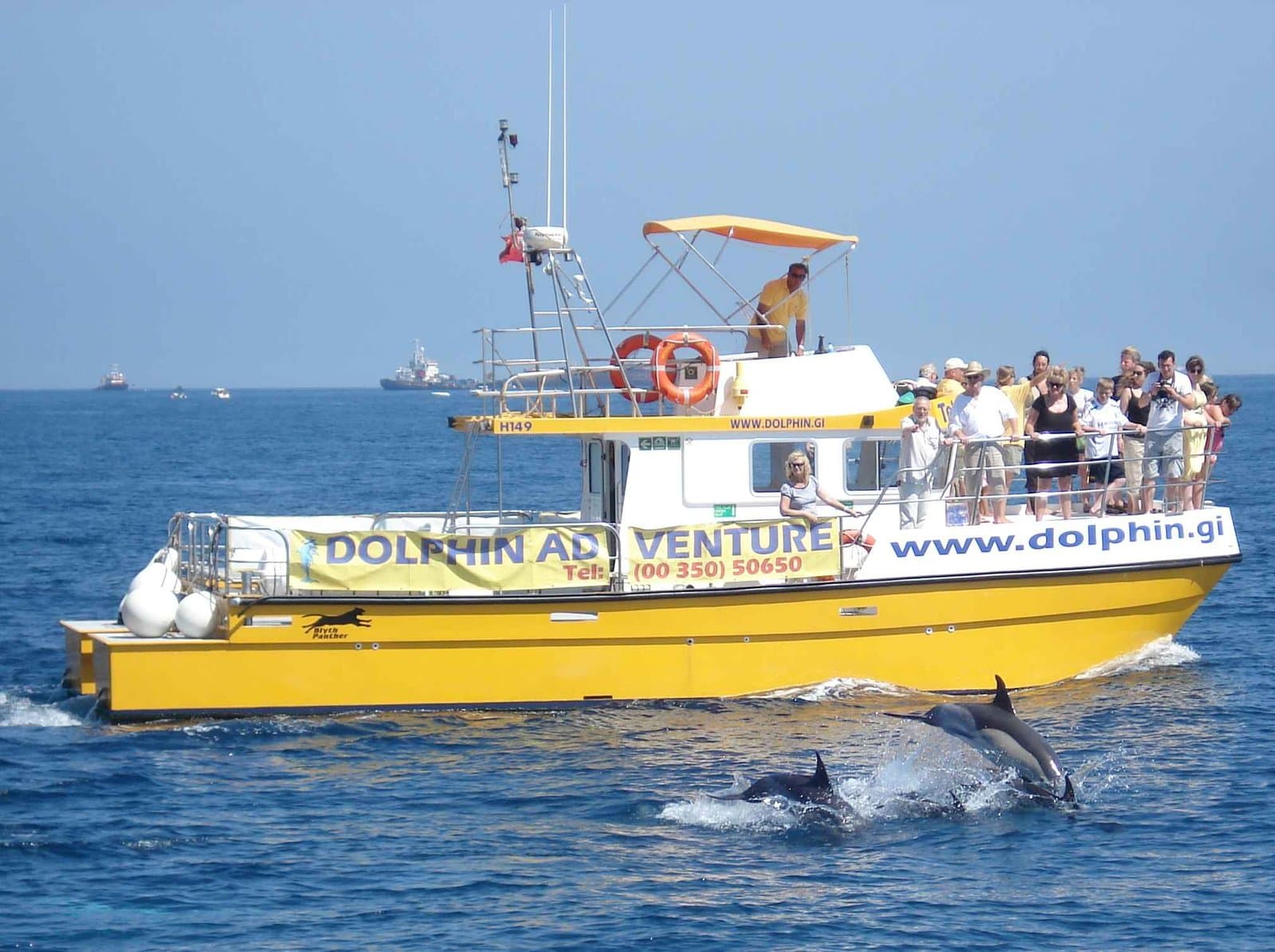 Guest photograph from the Dolphin Safari in the Strait, Gibraltar