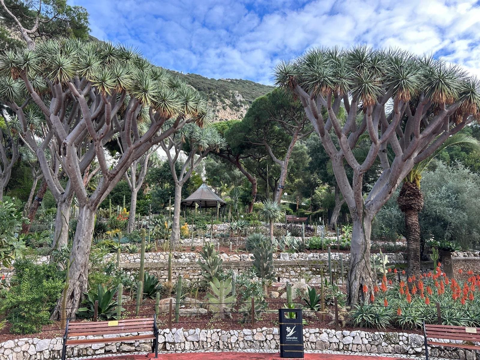 Guest photograph from the Custom Tour, Gibraltar
