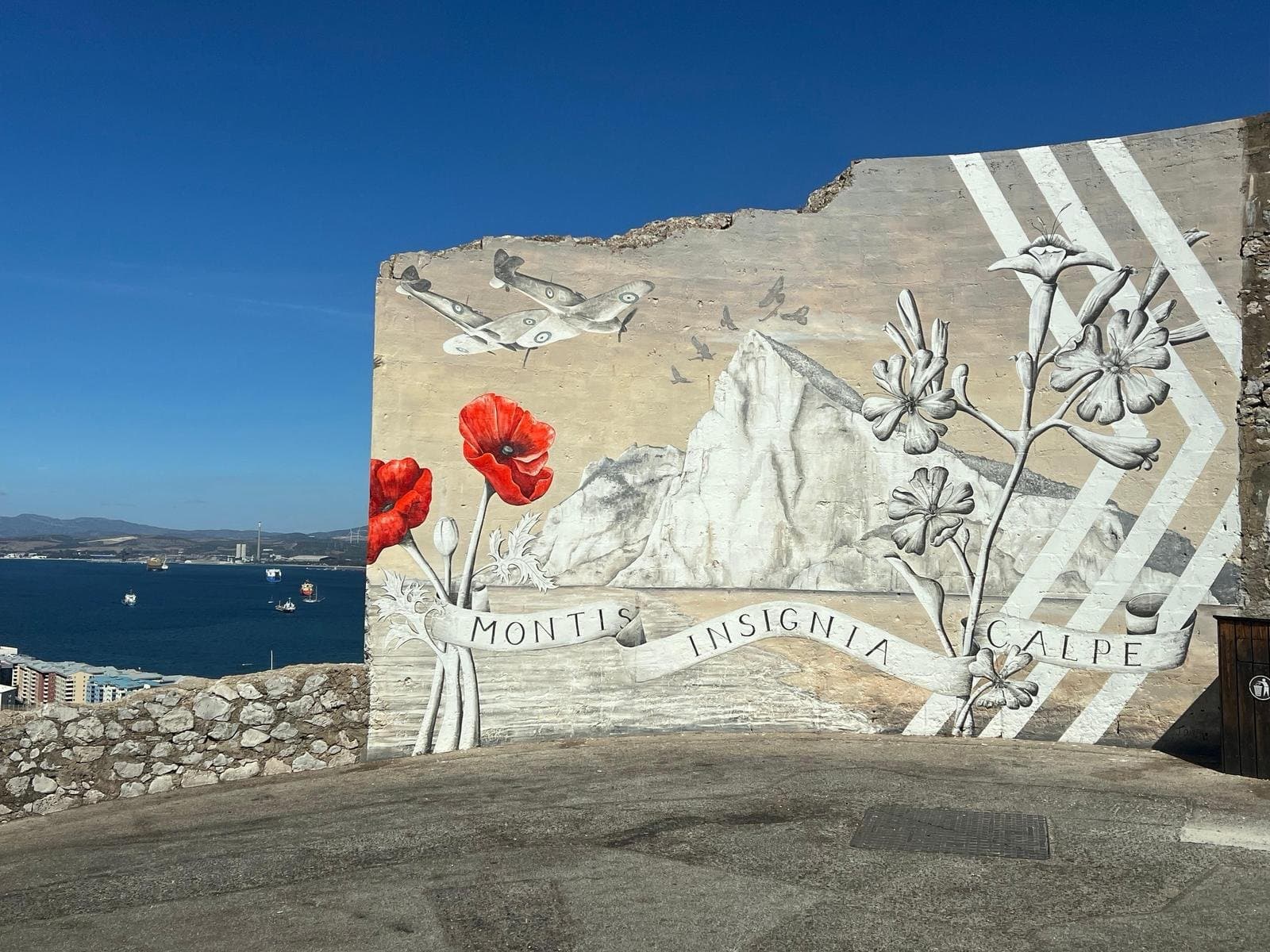 Guest photograph from the Custom Tour, Gibraltar