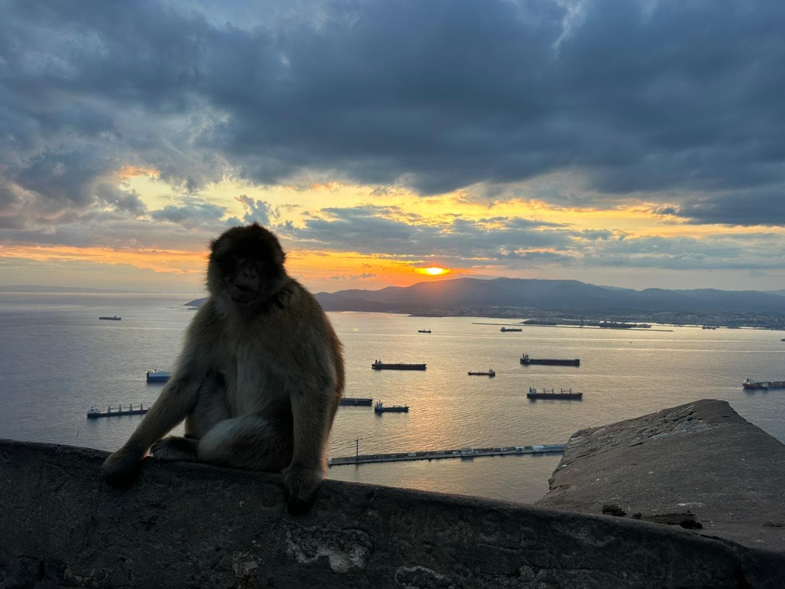 Guest photograph from the Custom Tour, Gibraltar